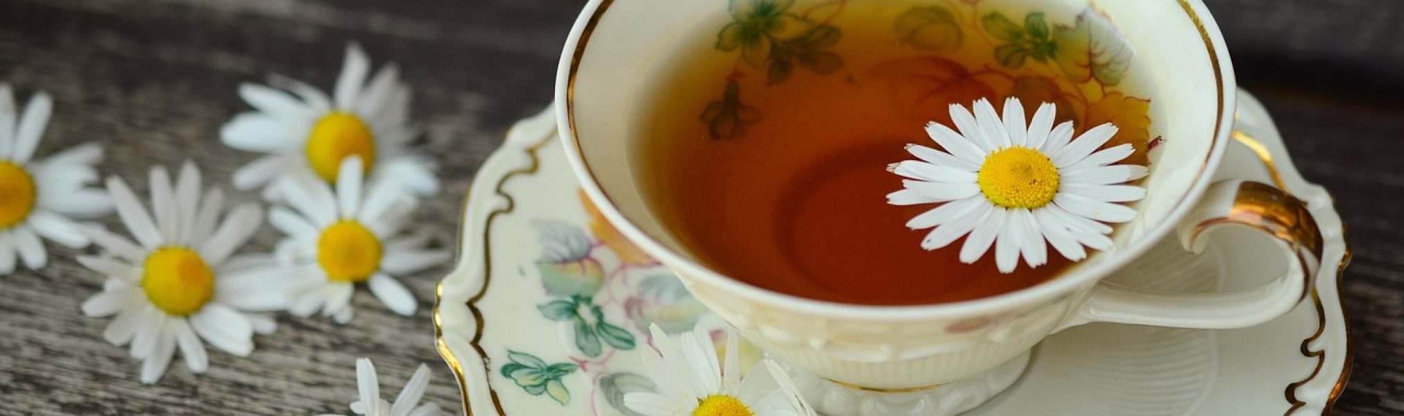 Tipps für einen schnellen Stoffwechsel - Mit diesen Tipps den Stoffwechsel ankurbeln